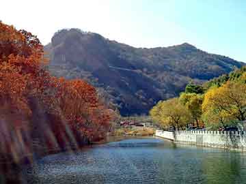 新澳天天开奖资料大全旅游团，站群技术